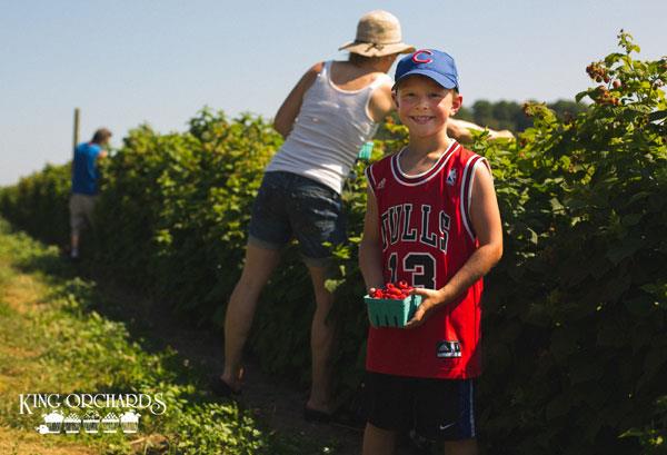 King Orchards U-Pick & Market