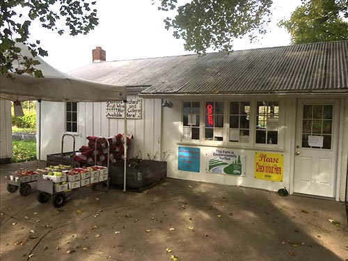 Lehmans Orchard U-Pick and Winery