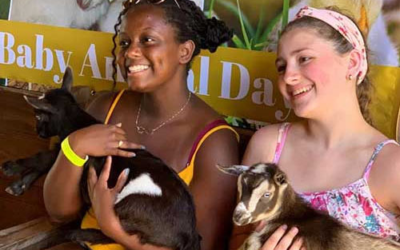 Lewis Adventure Farm & Zoo