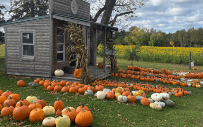 Maki Pumpkins and Produce
