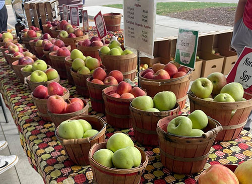 Meridian Township Farmers Market