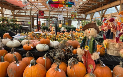 Mitchell Farm & Greenhouses