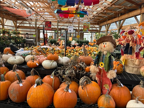 Mitchell Farm & Greenhouses