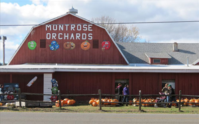 Montrose Orchards
