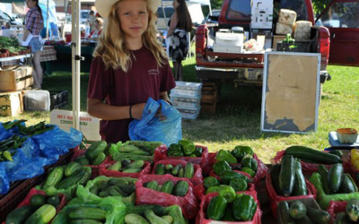 New Baltimore Farmers Market