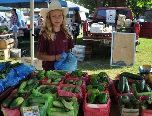 New Baltimore Farmers Market