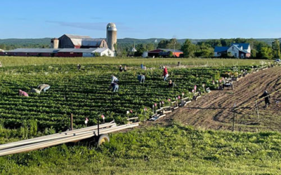 O’Farrell Farms