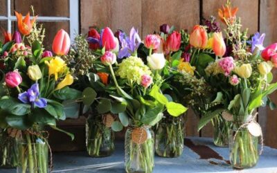 Northeast Michigan Regional Farm Market-AuSable Oscoda