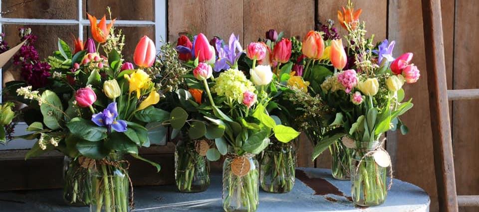 Northeast Michigan Regional Farm Market-AuSable Oscoda