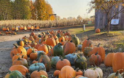 Pahl’s Pumpkin Patch
& Santa Experience