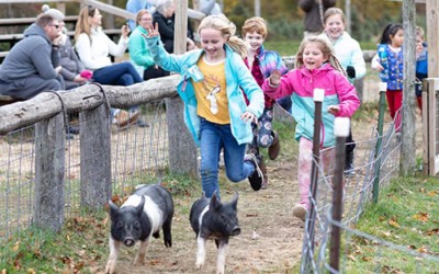 Peacock Road Family Farm
