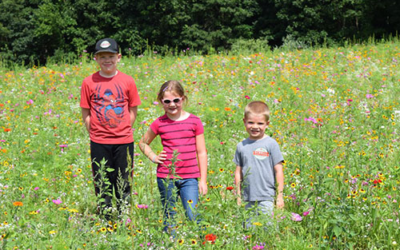 Schell Family Farm