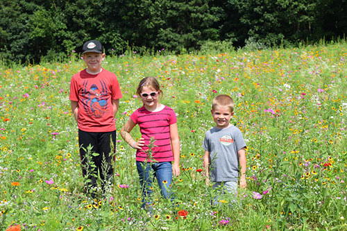 Schell Family Farm