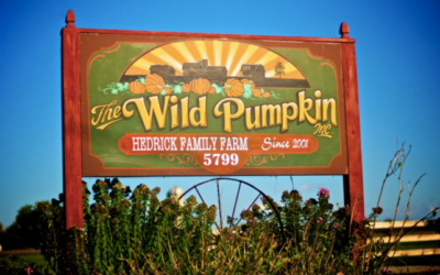The Wild Pumpkin