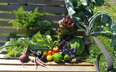 Simpson Family Farm