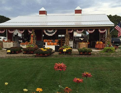 Sommerfeldt’s Sommer Fresh Farm