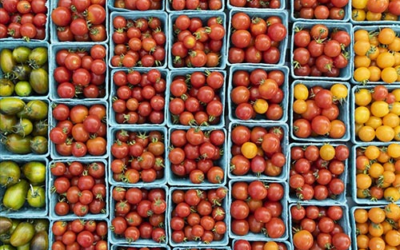 St. Joe Farmers Market