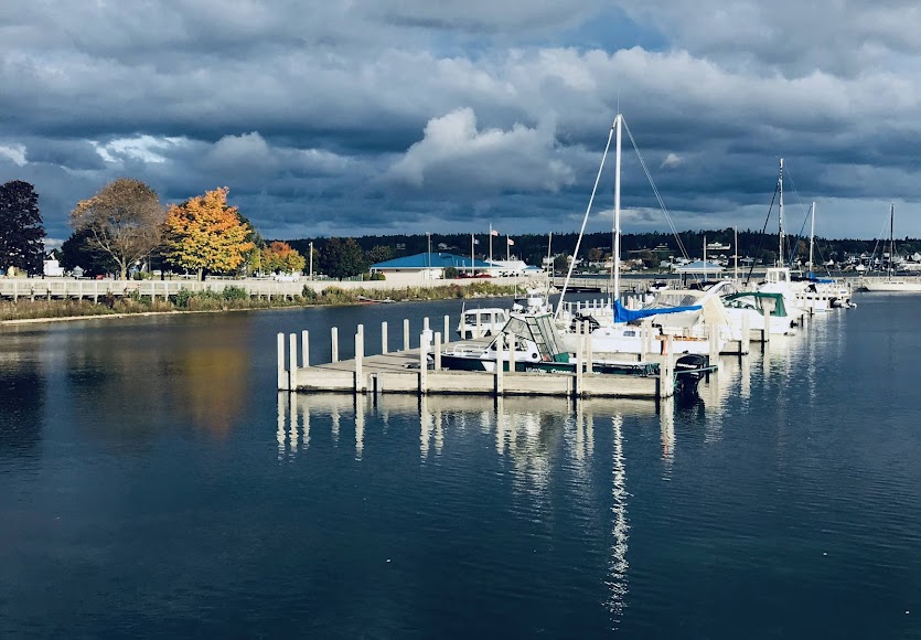 Bayside Farmers Market