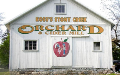 Stony Creek Orchard and Cider Mill
