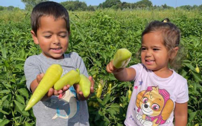 Strauss Produce
