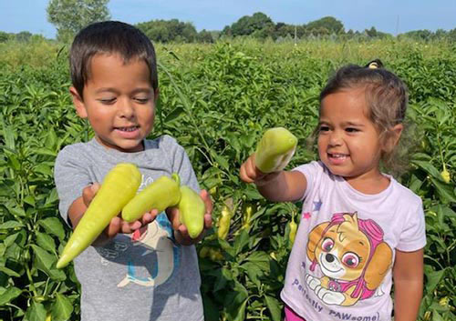 Strauss Produce