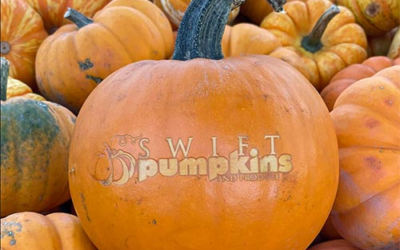 Swift Pumpkins