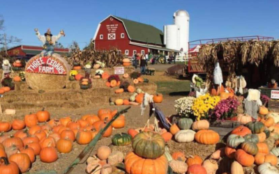 Three Cedars Farm