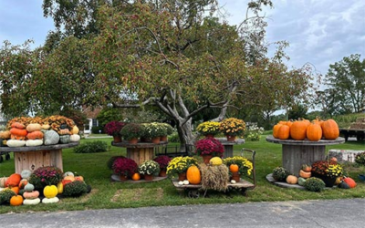 Twin Maple Orchards