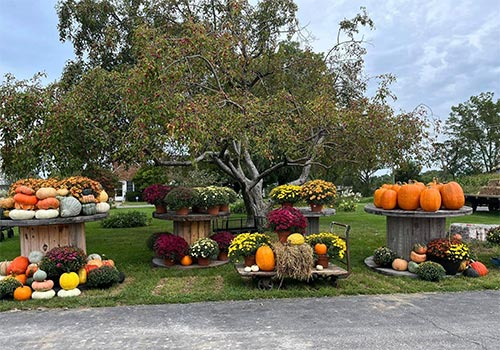 Twin Maple Orchards