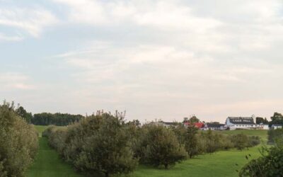Uncle John’s Cider Mill and Fruit House Winery