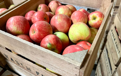 Wasem Fruit Farm