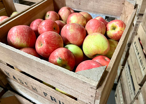 Wasem Fruit Farm