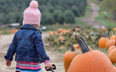 Westview Orchards & Winery
