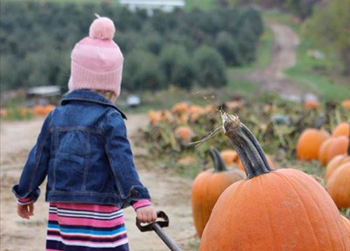 Westview Orchards & Winery