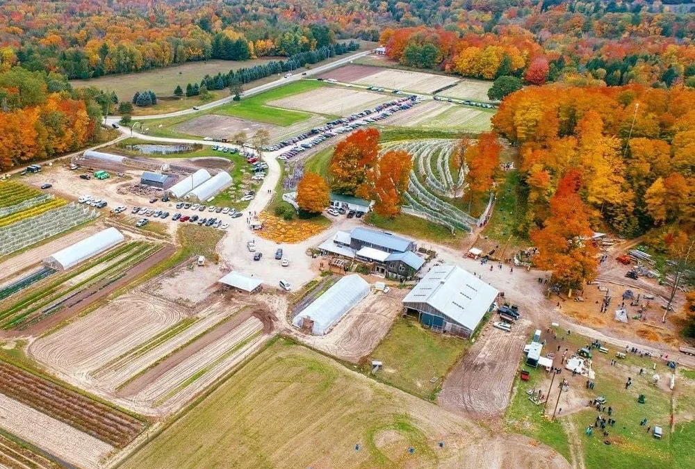 Pond Hill Farm