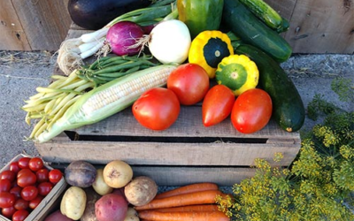 Visser Farms’ Country Market