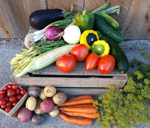 Visser Farms’ Country Market