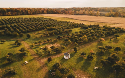Alber Orchard Cider Mill  & Freedom Winery 