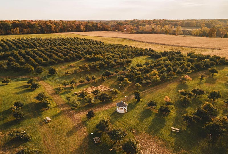 Alber Orchard Cider Mill  & Freedom Winery 
