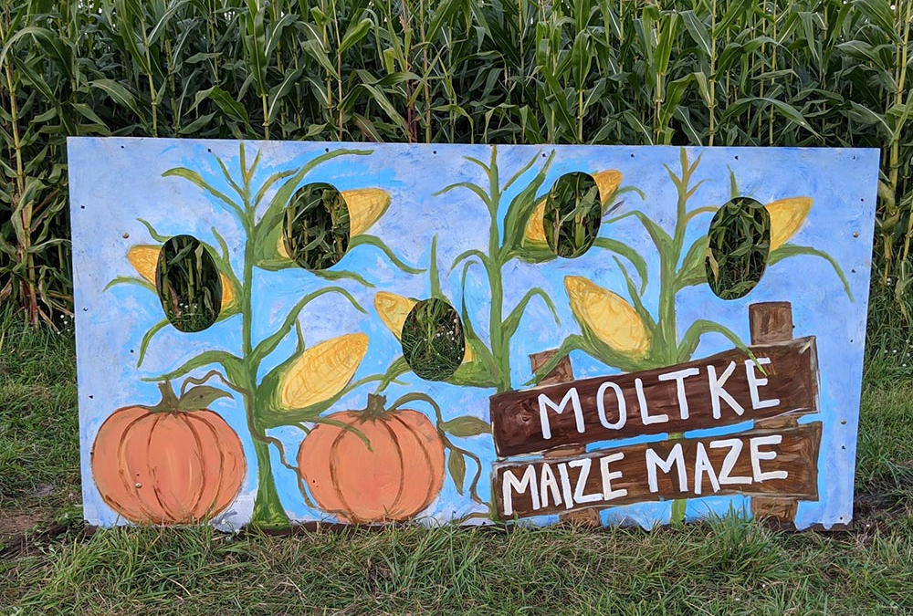 Moltze Maize Maze