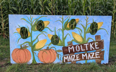 Moltze Maize Maze