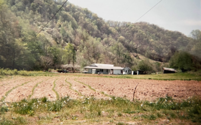 A Michigan Farm Fun Journey
