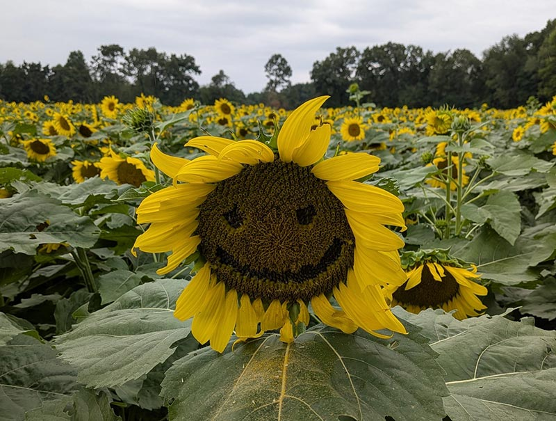 JTK Farms LLC